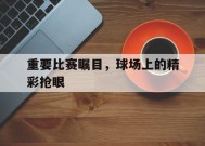 今年会app-关于重要比赛瞩目，球场上的精彩抢眼的信息