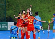 今年会app-卫冕冠军再起，亚洲赛场再掀波澜的简单介绍