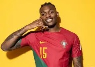 今年会平台-葡萄牙队成功逆袭,进入半决赛是哪一集