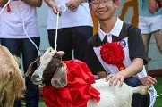 今年会app-包含紧追在领头羊的身后，强敌对决令人期待的词条