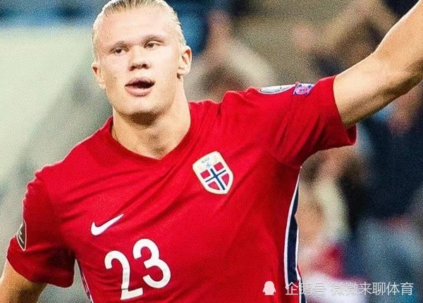 荷兰主场击败挪威,积分暂时排名第二的球员