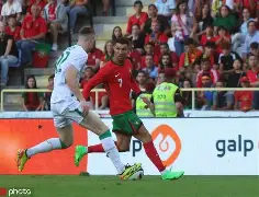 包含葡萄牙外围战胜爱尔兰，提前锁定头名的词条