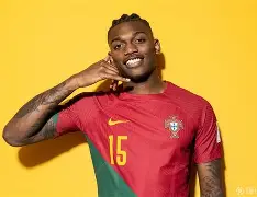 葡萄牙队成功逆袭,进入半决赛是哪一集