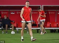 塞尔维亚队小组出线，备战淘汰赛(塞尔维亚小组赛战绩)