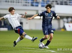 包含甘冈主场战胜对手，全队表现出色的词条